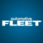 Automotive Fleet