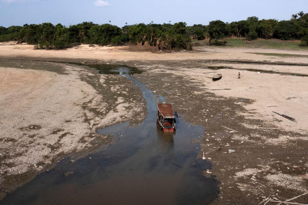 Amazon Rainforest Water Level Falls to 121-Year Low