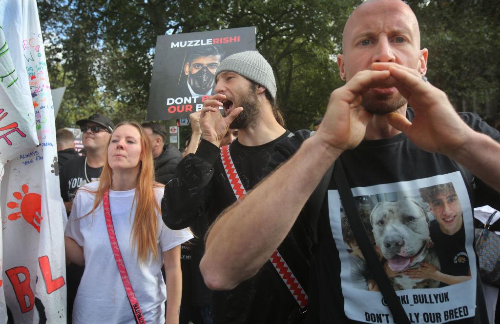 England, Wales Ban on XL Bully Dogs to Take Effect Sunday