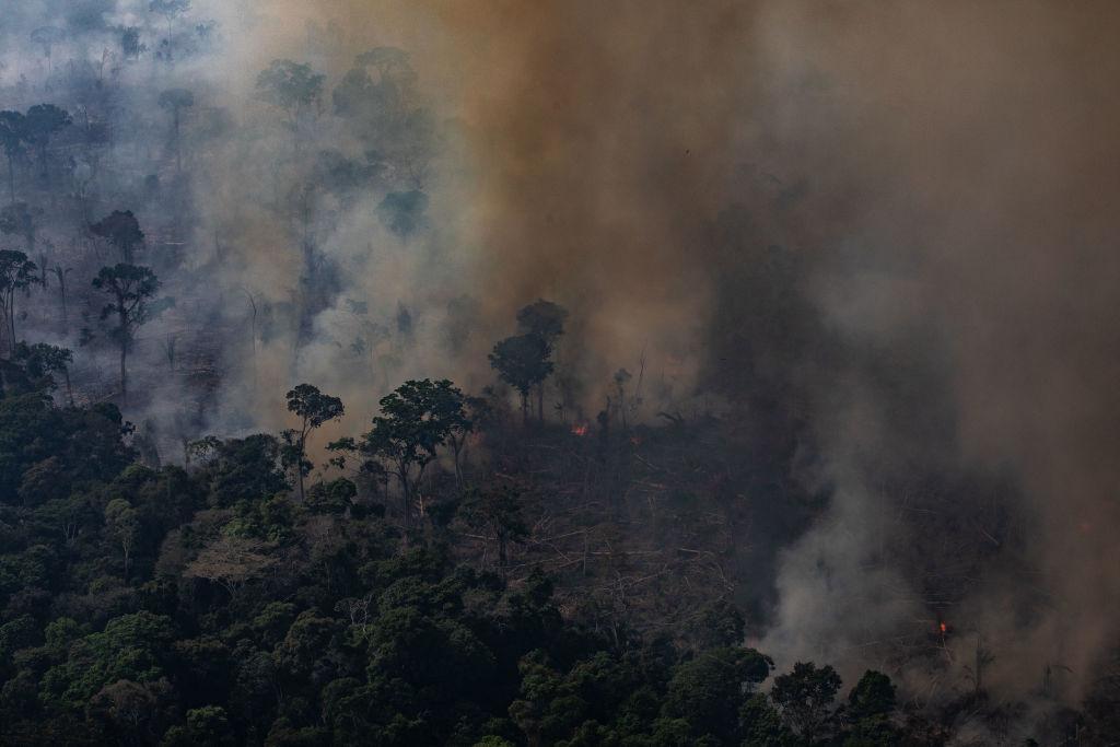 Report: Climate Change to Blame for Amazon Rainforest Drought