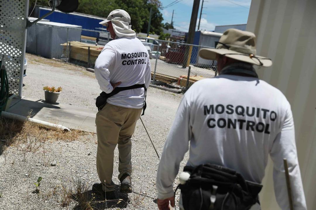 WHO Warns of Dengue Spread Within US, Europe, Africa