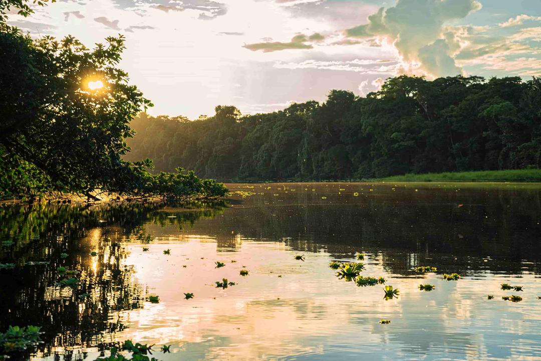 Valley of Lost Cities Found in Ecuadorian Amazon
