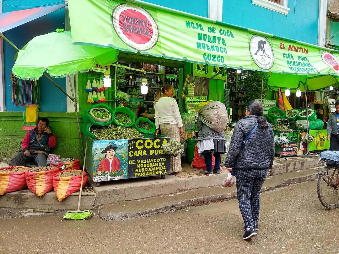 Peru's Coca Leaf Cultivation Reaches Record High