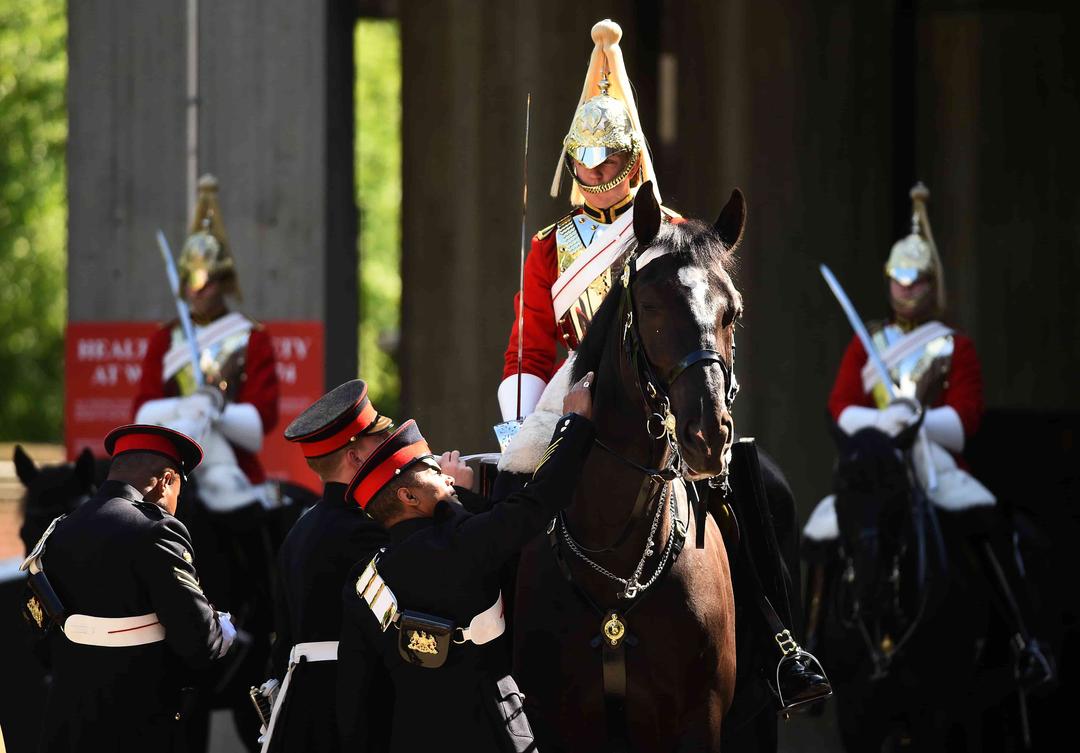 UK: Four Injured After Military Horses Bolt in London