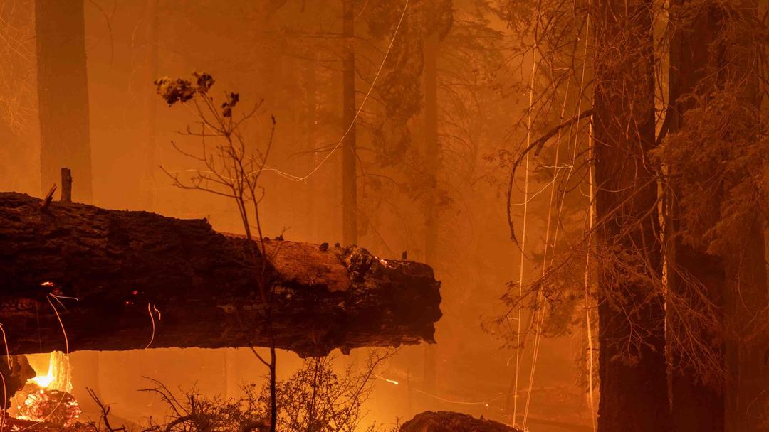 Thousands Temporarily Evacuated in California Wildfire