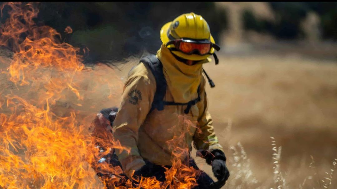 Report: California Wildfires Increased Fivefold This Year