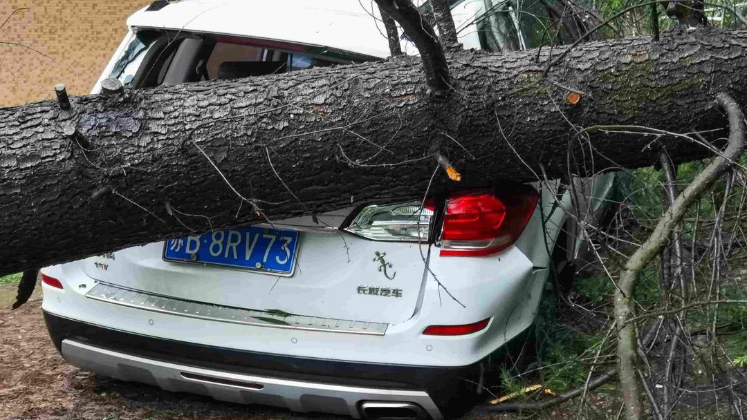 Typhoon Bebinca Makes Powerful Shanghai Landfall