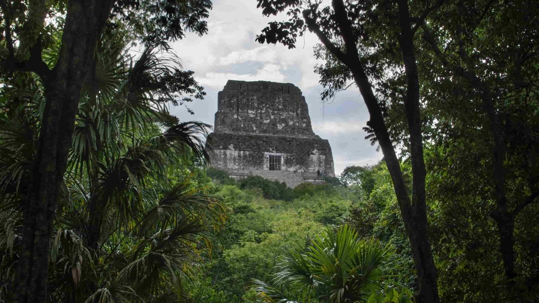 Ancient Mayan City Discovered in Mexican Jungle