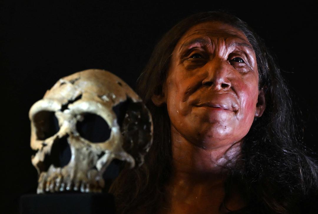 DNA Study Reveals Precise Timing of Human-Neanderthal Mixing