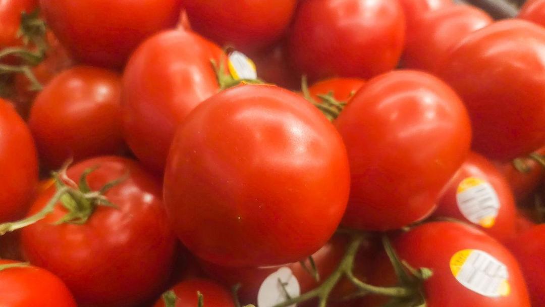 FDA Upgrades Tomato Recall to Highest Risk Level Over Salmonella
