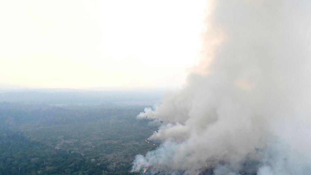 Amazon Deforestation in Brazil Increases Ahead of COP30