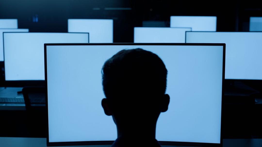 Indian Engineer Admits to Working Multiple US Startups Secretly