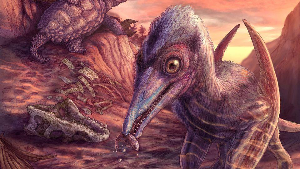 Oldest North American Pterosaur Found in Arizona