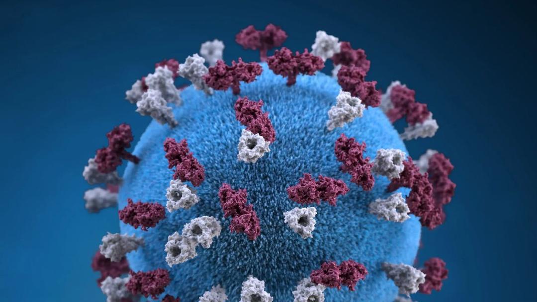 US Measles Cases Hit 33-Year High