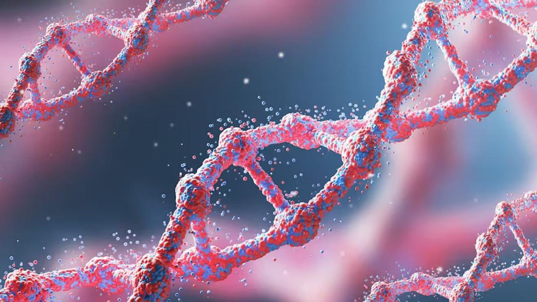 Scientists Develop Biological AI System for Protein Evolution