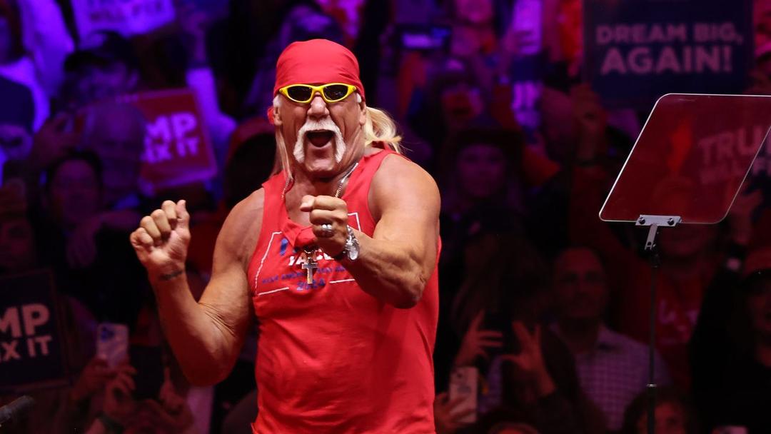 Wrestling Champion Hulk Hogan Dies at 71