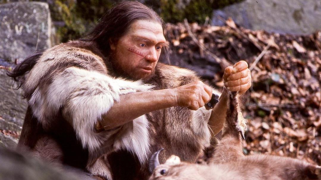 Study: Neanderthals Likely Ate Maggots, Not Hypercarnivores