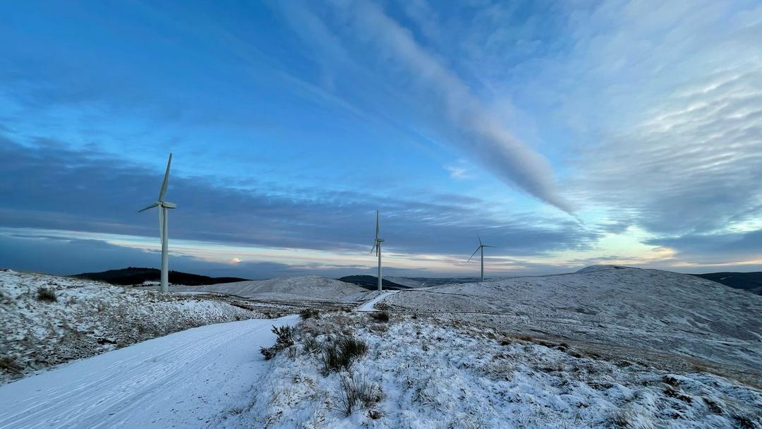 UK Wind Turbines to be Painted Black to Stop Bird Strikes