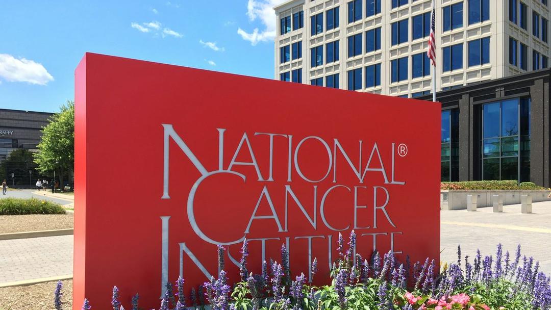 Study: Cervical Cancer Mortality Drops in Young US Women