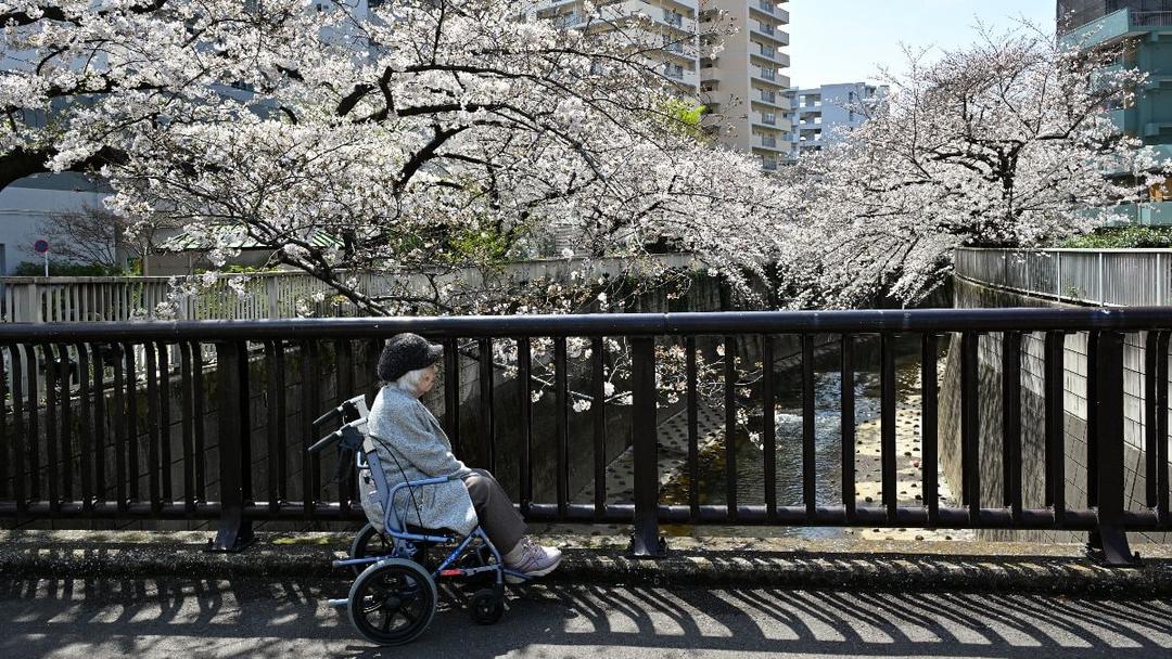 Japan's Population Hits Record Low, Shrunk by 900K in 2024