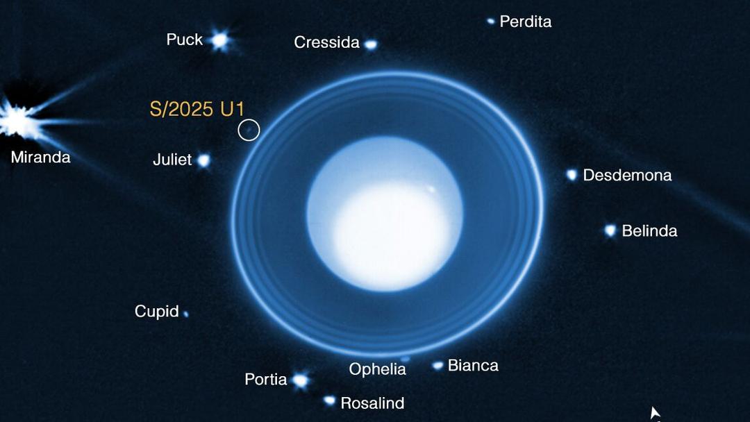 NASA's Webb Telescope Discovers 29th Known Moon Orbiting Uranus