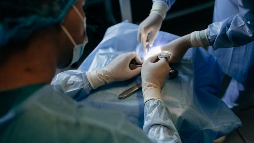Scientists Transplant Pig Lung into Human for First Time