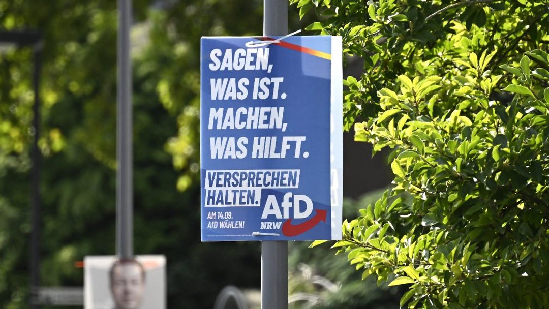 Six AfD Candidates Die Before German Local Elections