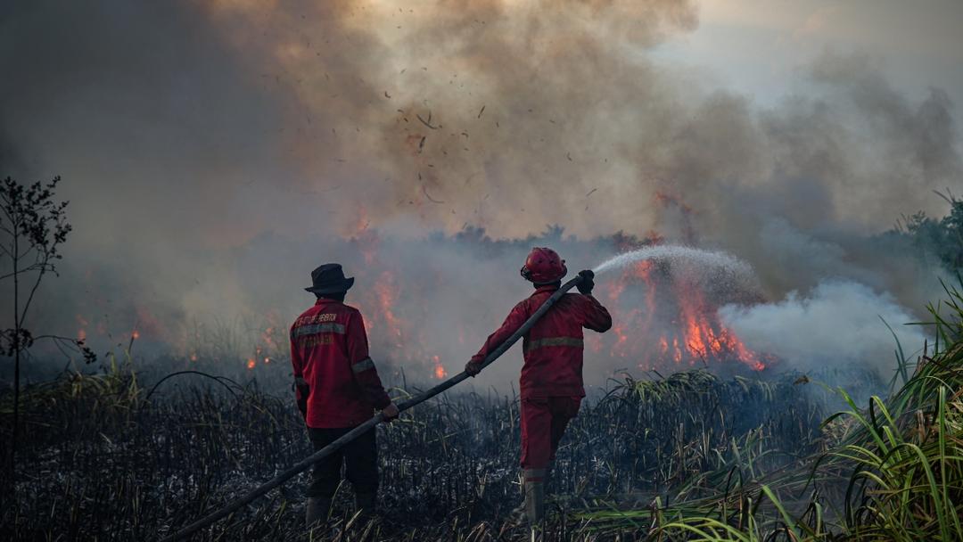Report: Global Temperatures Hit 1.5°C Record, Heat Deaths Up 23%